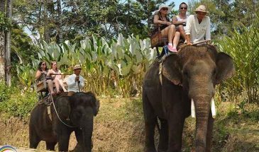 bali elephant ride